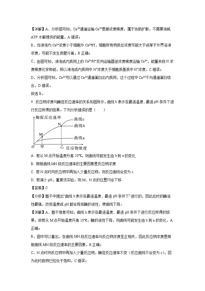 江苏省盐城市滨海县明达中学2024-2025学年高三（上）期中模拟生物试卷（解析版）第3页