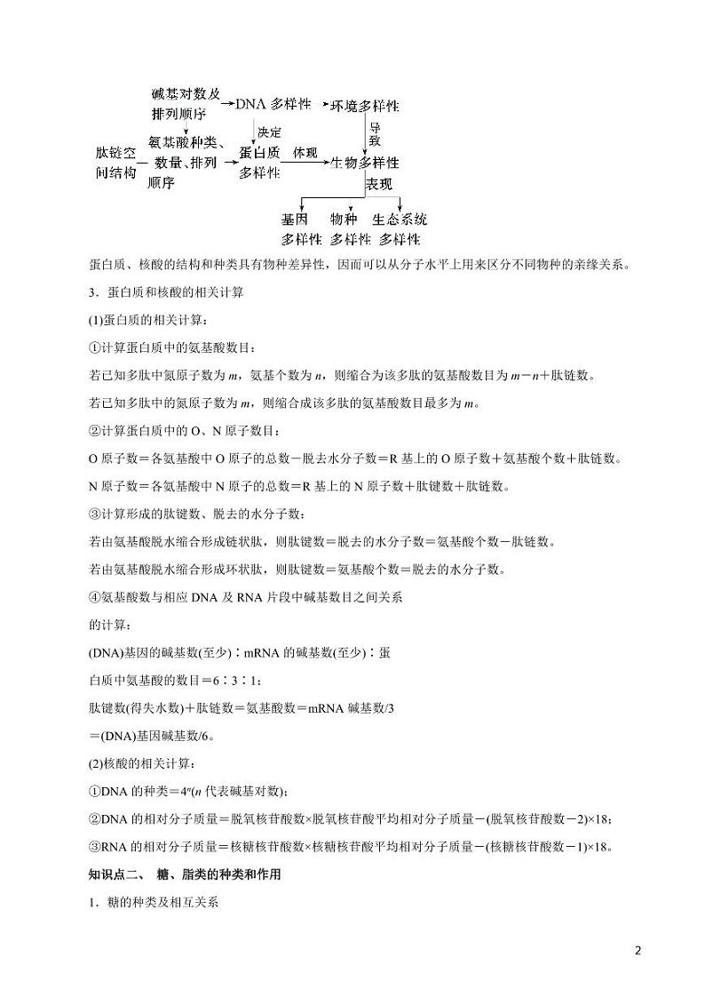 《高中知识清单》生物（专题）-专题01 细胞的分子组成（讲）（原卷+解析版）第2页