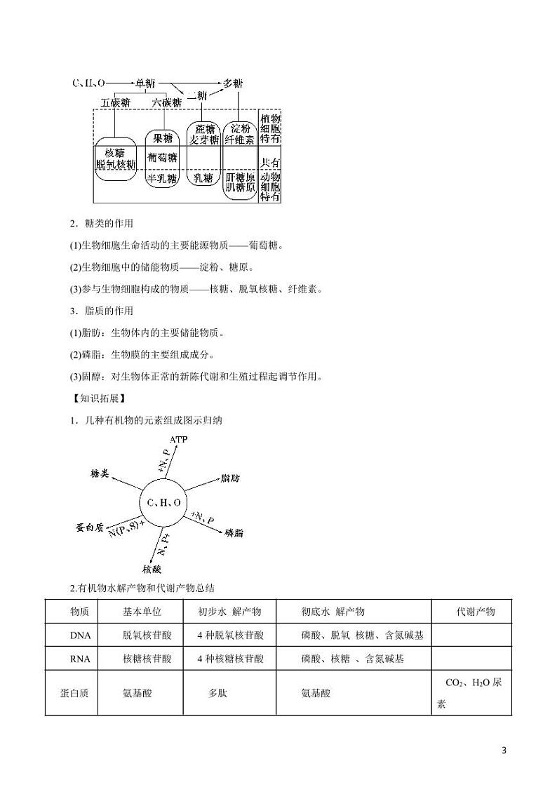 《高中知识清单》生物（专题）-专题01 细胞的分子组成（讲）（原卷+解析版）第3页