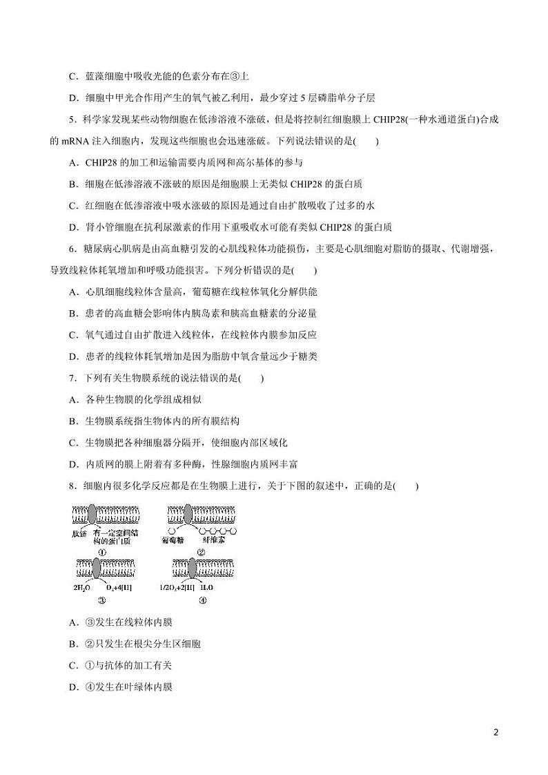 《高中知识清单》生物（专题）-专题02 细胞的结构（原卷+解析版）第2页