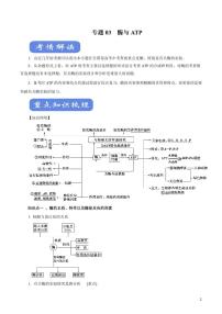 《高中知识清单》生物（专题）-专题03 酶与ATP（讲）（原卷+解析版）