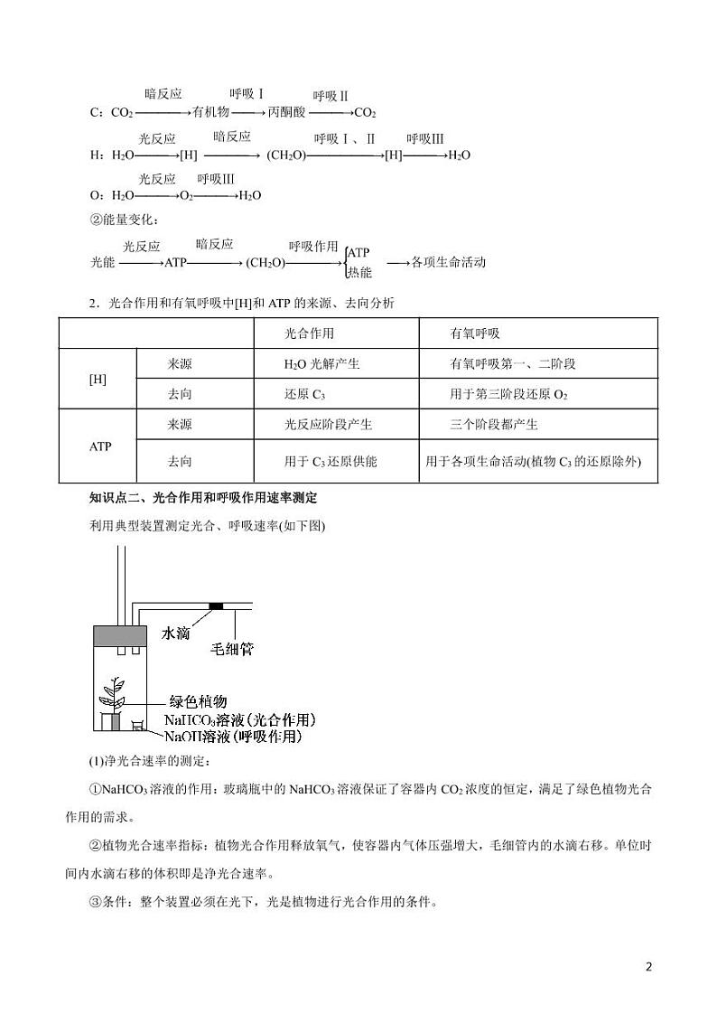 《高中知识清单》生物（专题）-专题04 细胞呼吸与光合作用（讲）（原卷+解析版）第2页