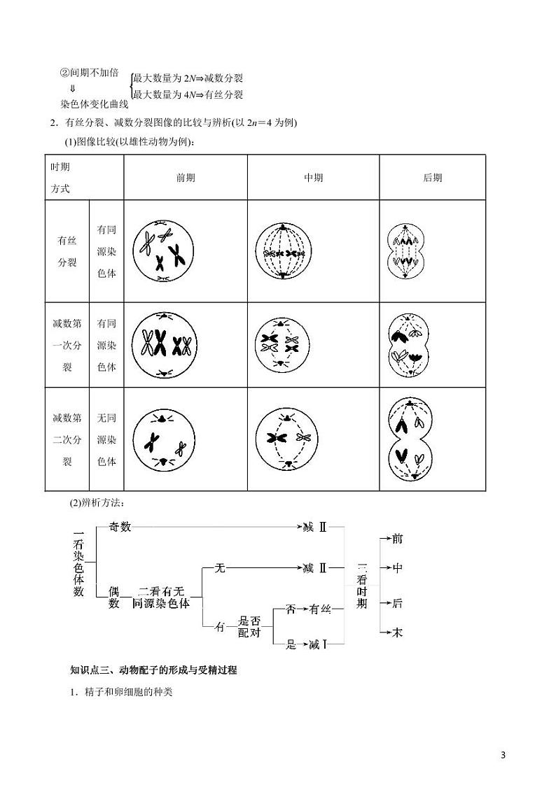 《高中知识清单》生物（专题）-专题05 细胞的生命历程（讲）（原卷+解析版）第3页