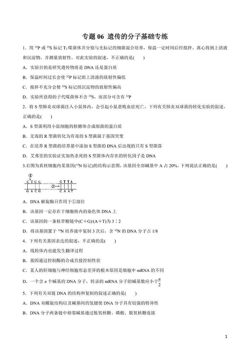 《高中知识清单》生物（专题）-专题06 遗传的分子基础（原卷+解析版）第1页