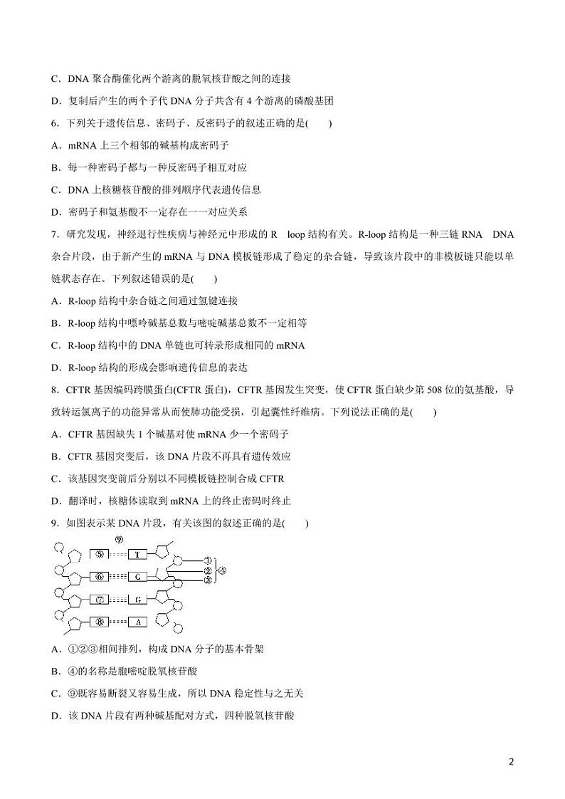 《高中知识清单》生物（专题）-专题06 遗传的分子基础（原卷+解析版）第2页