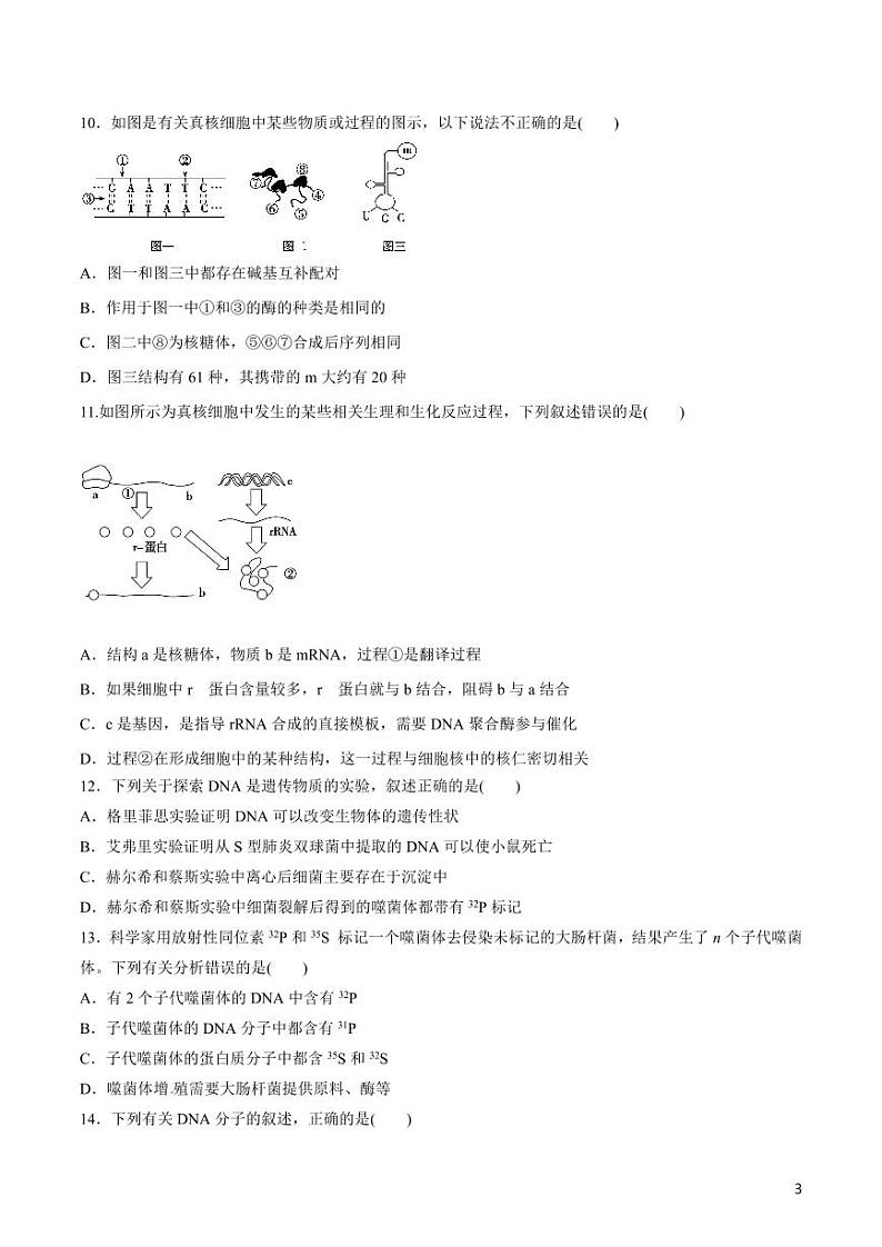 《高中知识清单》生物（专题）-专题06 遗传的分子基础（原卷+解析版）第3页