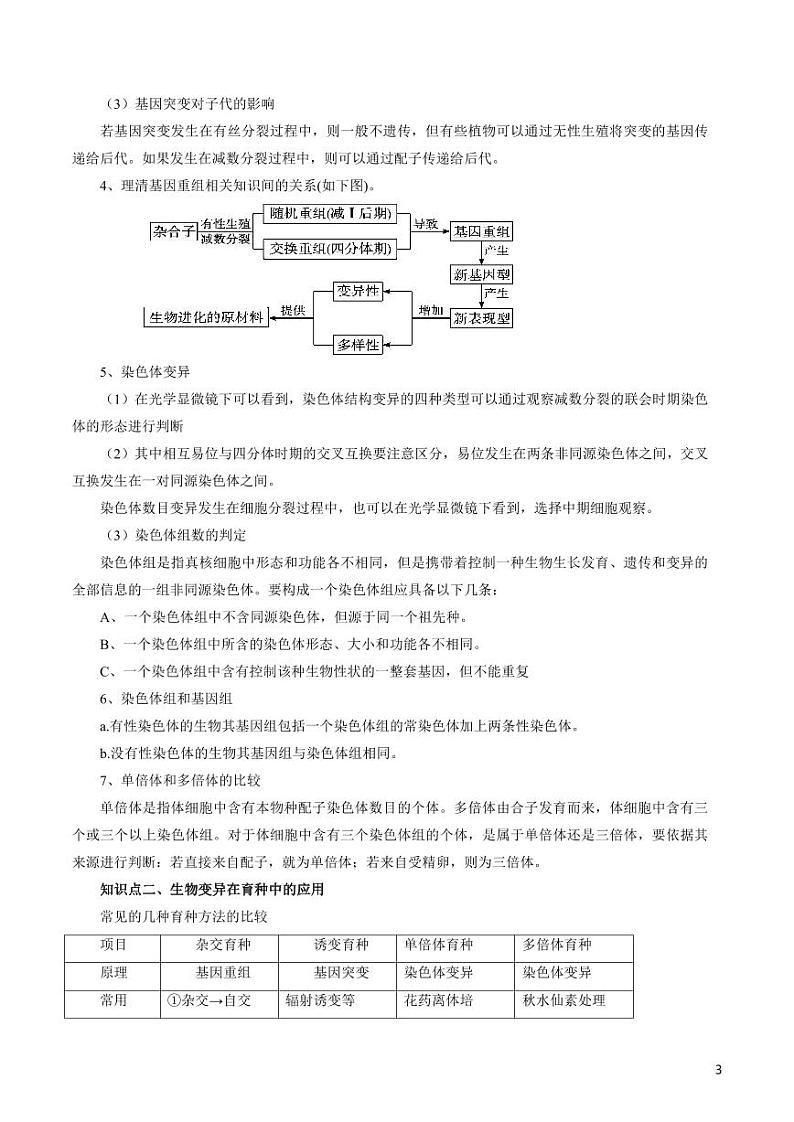 《高中知识清单》生物（专题）-专题08 生物的变异、育种与进化（讲）（原卷+解析版）第3页
