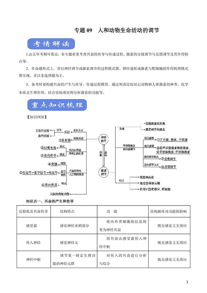 《高中知识清单》生物（专题）-专题09 人和动物生命活动的调节（讲）（原卷+解析版）第1页