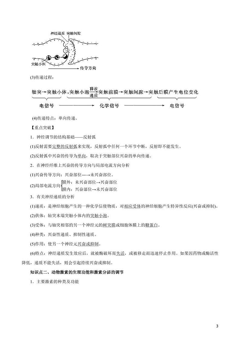《高中知识清单》生物（专题）-专题09 人和动物生命活动的调节（讲）（原卷+解析版）第3页