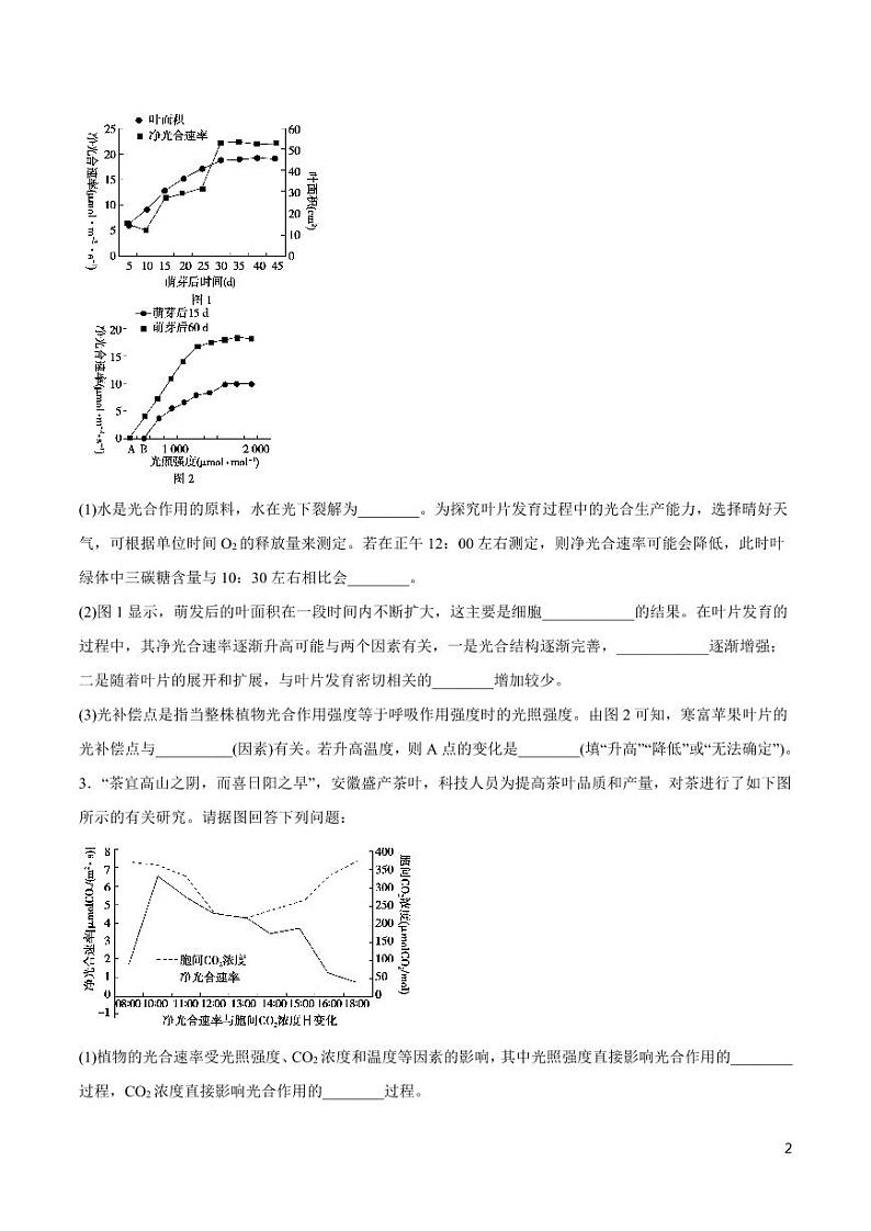 《高中知识清单》生物（专题）-专题19 高效解答非选择题的方法与技巧（原卷+解析版）第2页