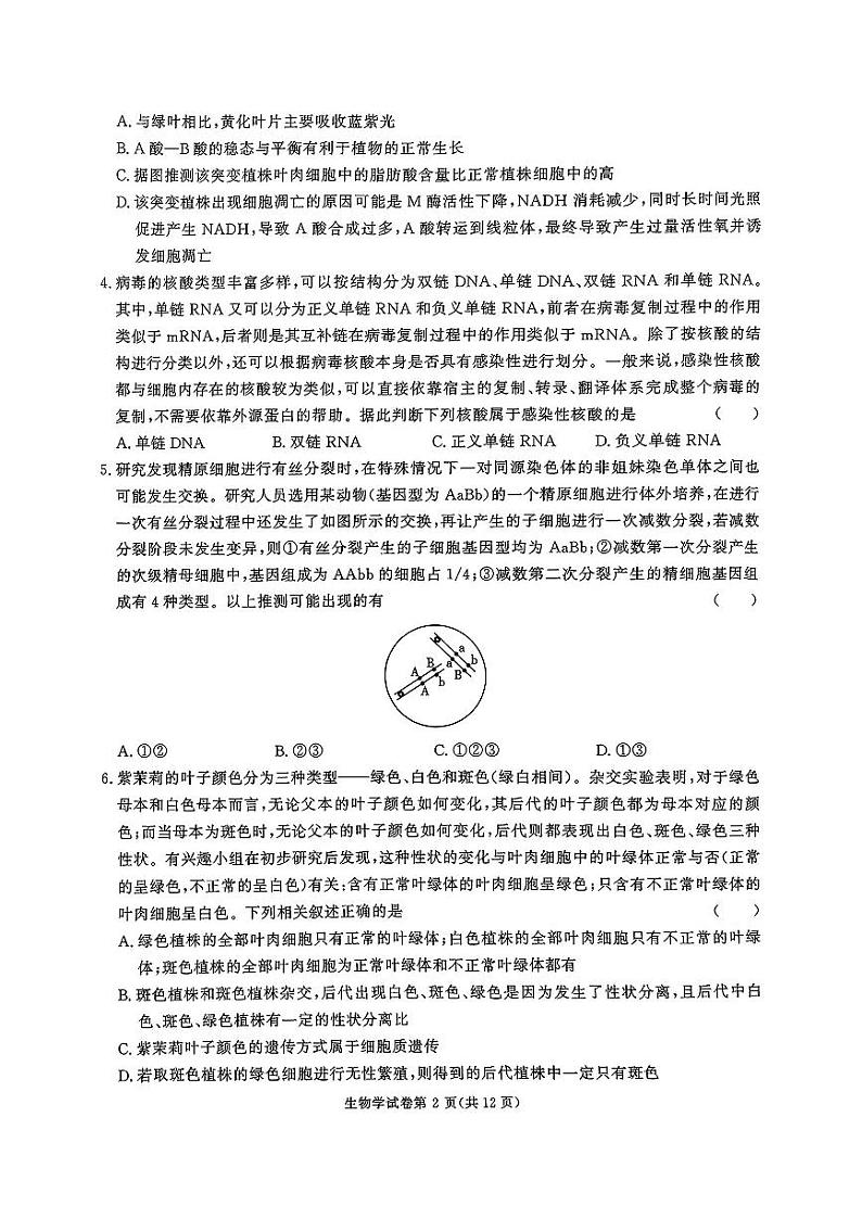 2025湖南省名校教育联盟高三上学期12月大联考生物试题扫描版含解析第2页