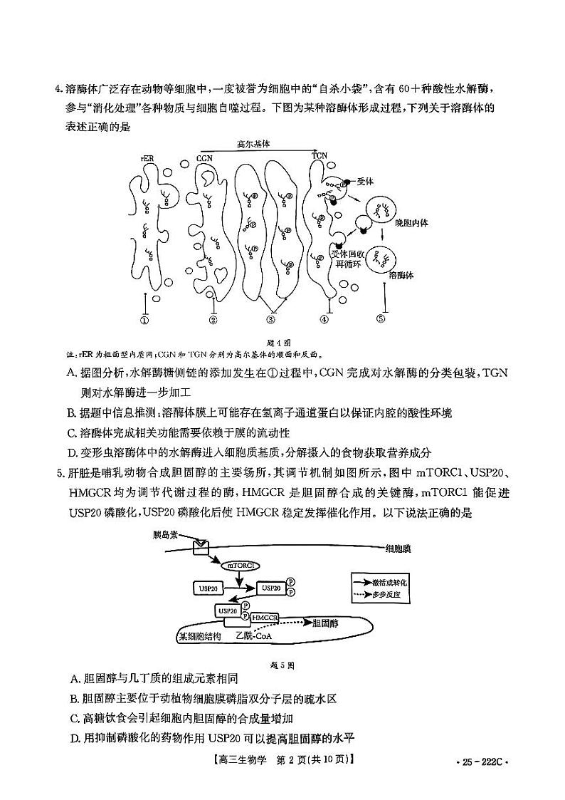 2025重庆市部分学校高三上学期12月联考试题生物PDF版含解析第2页