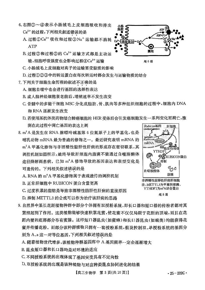 2025重庆市部分学校高三上学期12月联考试题生物PDF版含解析第3页