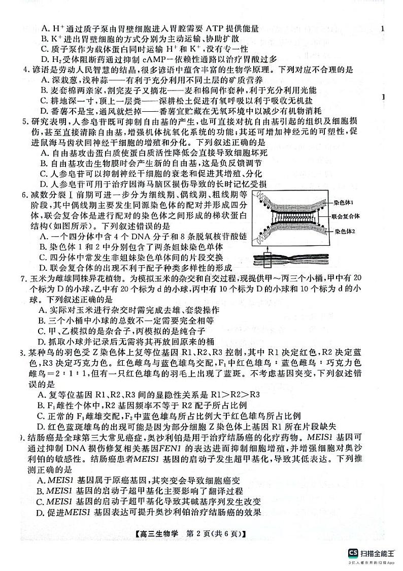 2025河南省名校联盟高三上学期12月联考试题生物PDF版含解析第2页