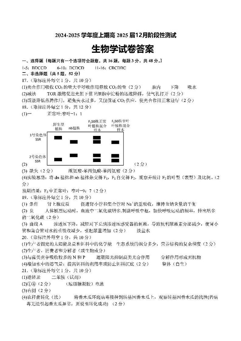 四川省成都市第七中学2024-2025学年高三上学期12月阶段性考试生物答案第1页