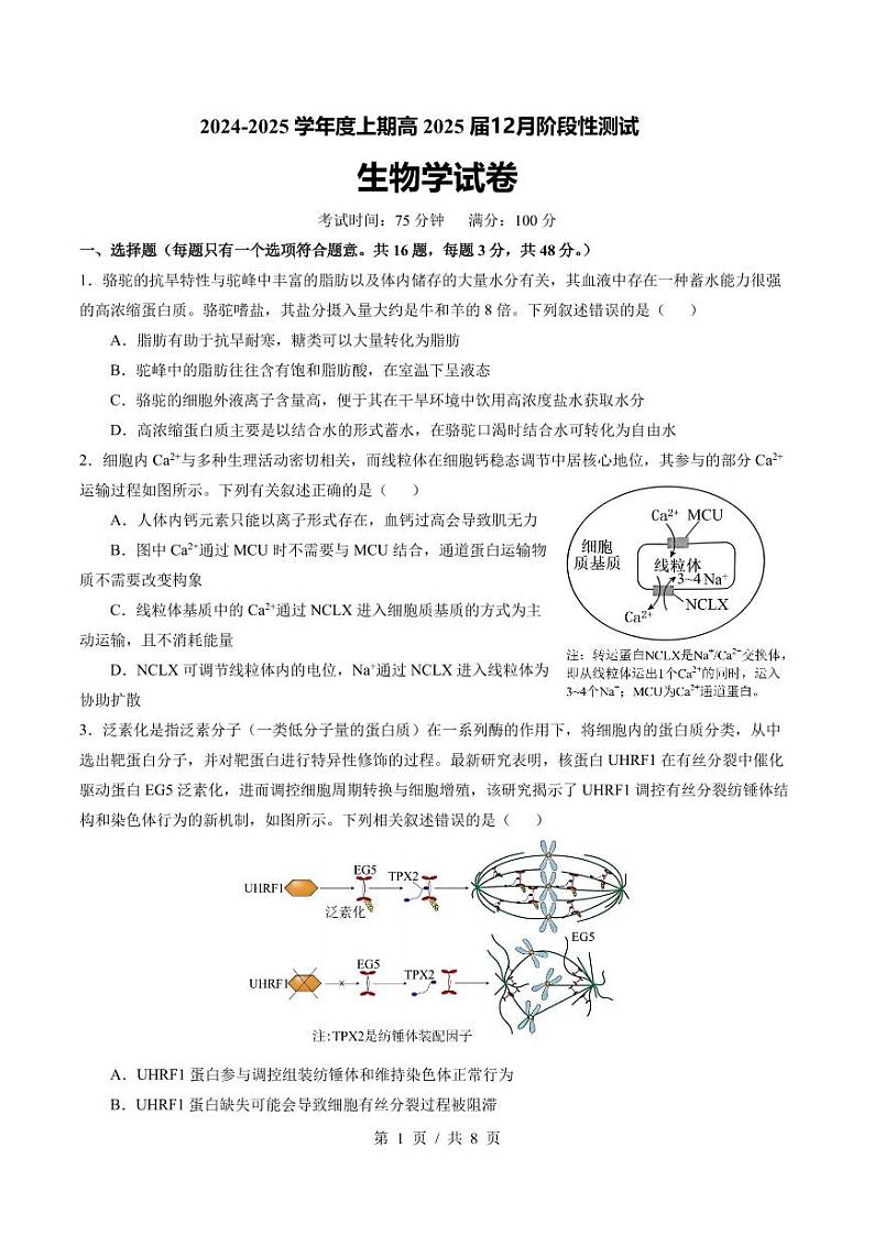 四川省成都市第七中学2024-2025学年高三上学期12月阶段性考试生物第1页