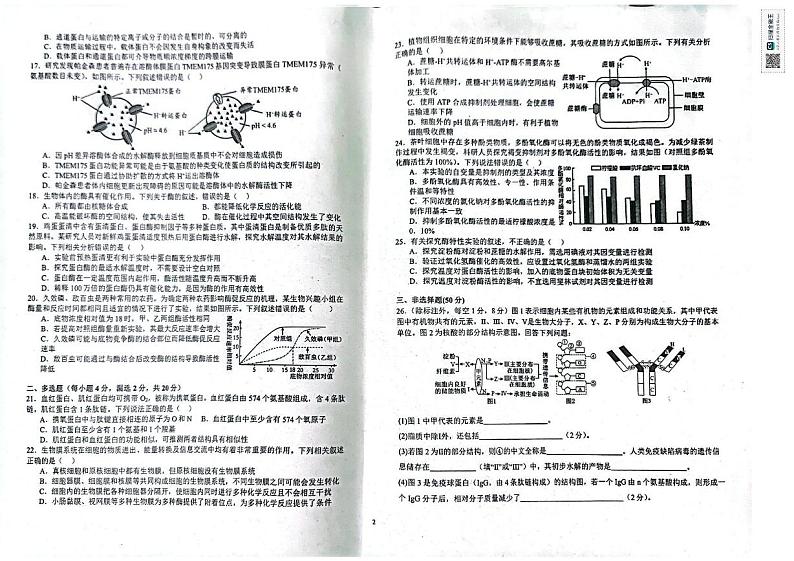 江西省宜春市宜丰中学2024-2025学年高一上学期第三次月考生物试题第2页