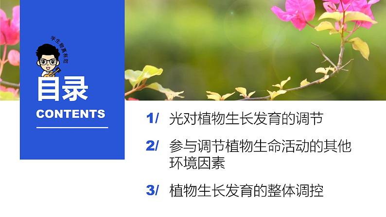 5.4+环境因素参与调节植物的生命活动-【学生物真有范】高二生物上学期同步精品课件（人教版2019选择性必修1）第2页