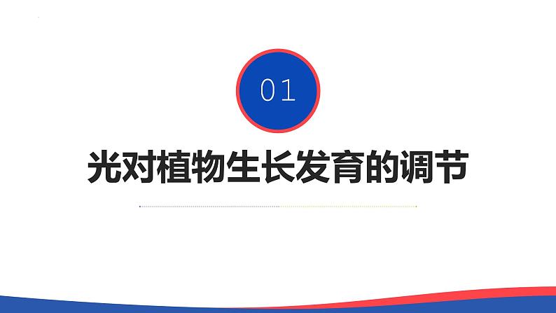 5.4+环境因素参与调节植物的生命活动-【学生物真有范】高二生物上学期同步精品课件（人教版2019选择性必修1）第8页