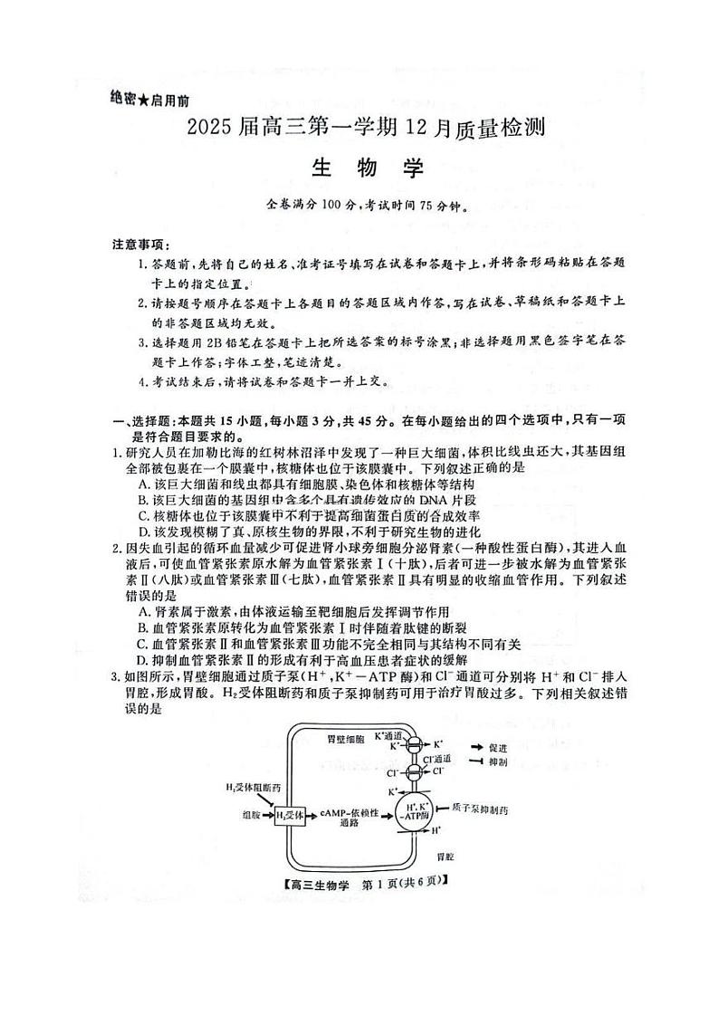 河南省华师联盟2025届高三上学期12月质量检测考试-生物试题+答案第1页