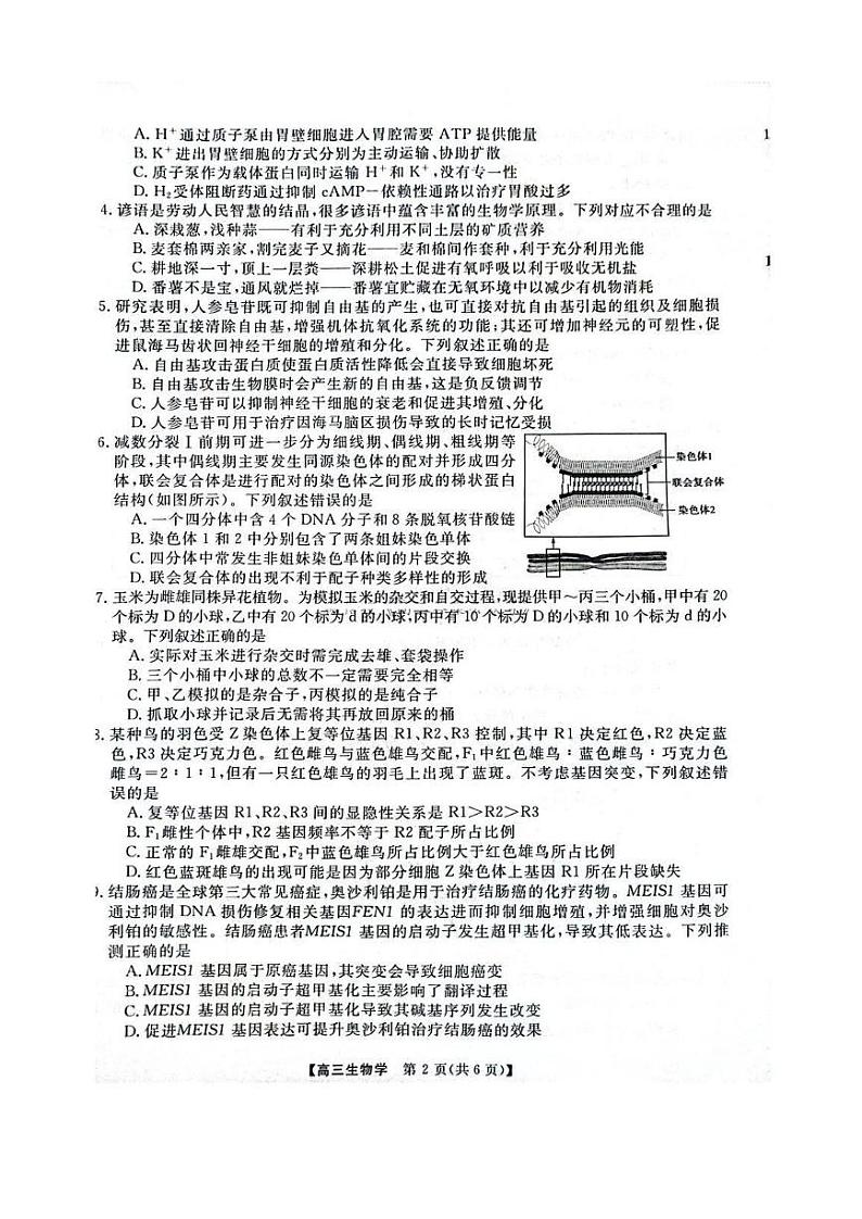 河南省华师联盟2025届高三上学期12月质量检测考试-生物试题+答案第2页