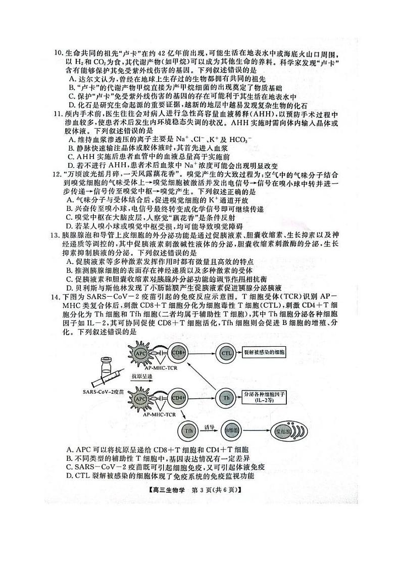 河南省华师联盟2025届高三上学期12月质量检测考试-生物试题+答案第3页