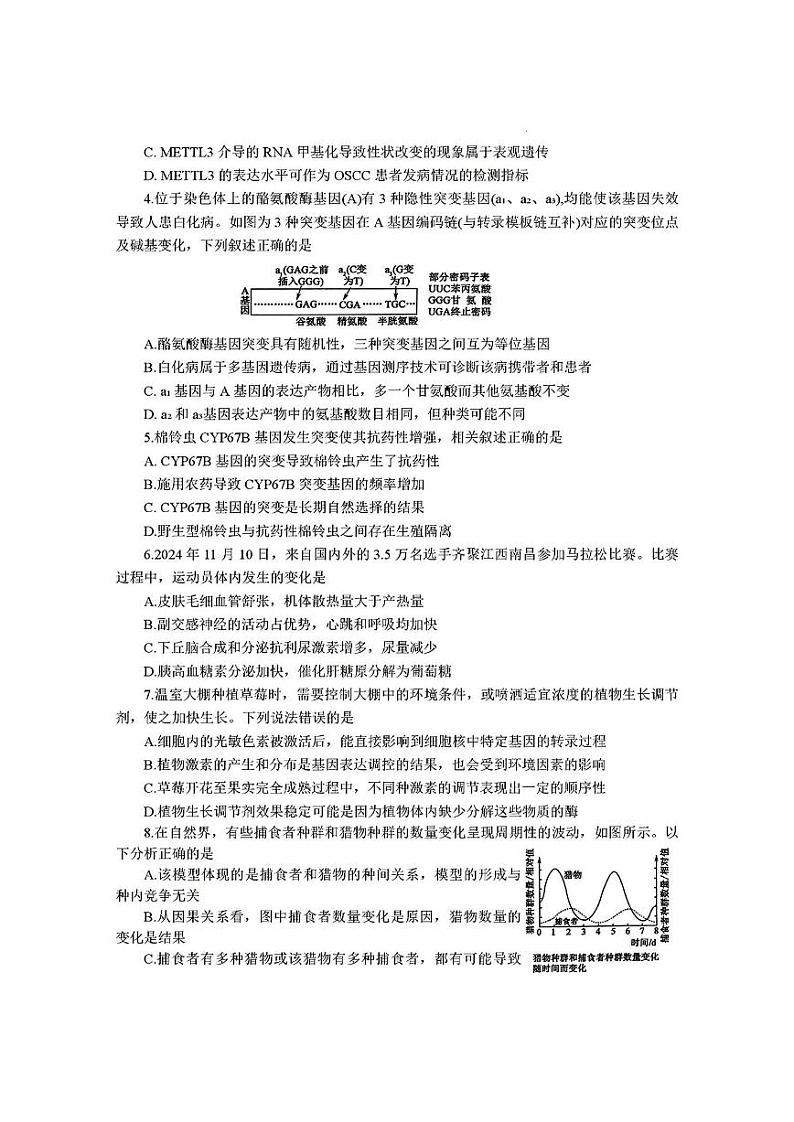 江西省河南省新疆三省2025届G20示范高中高三上学期12月联考-生物试卷+答案第2页