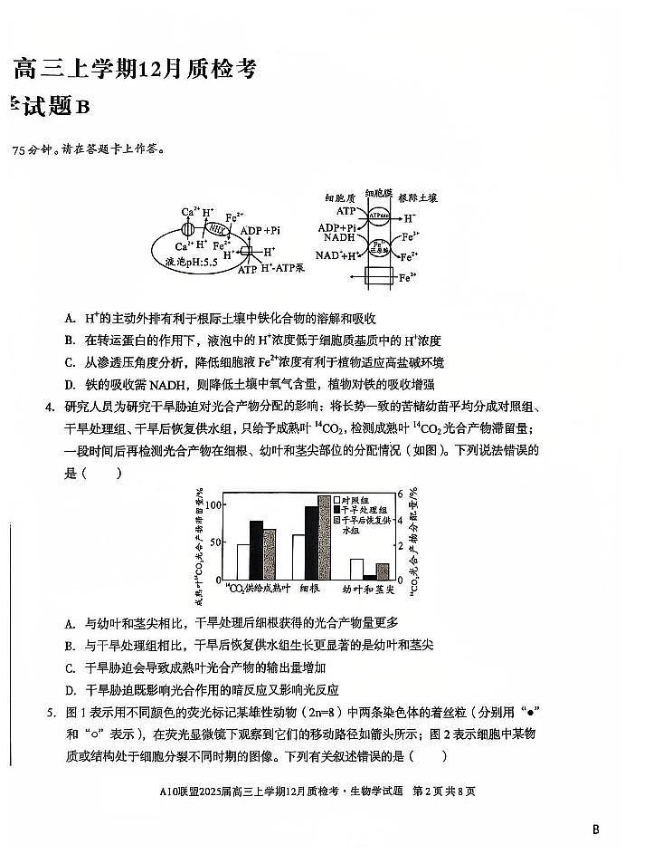 安徽省1号卷A10联盟2025届高三上学期12月质检考生物第2页
