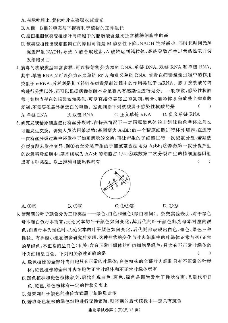 湖南省名校教育联盟2024-2025学年高三上学期12月大联考生物试题第2页