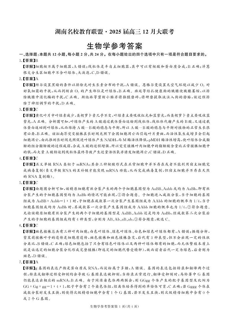 湖南省名校教育联盟2024-2025学年高三上学期12月大联考生物试题解析第1页