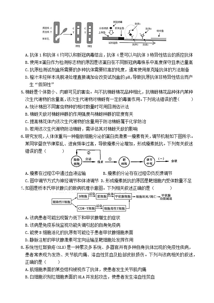 江苏省连云港市灌云县、灌南县2地2024-2025学年高二上学期12月月考生物试题（Word版附答案）第2页