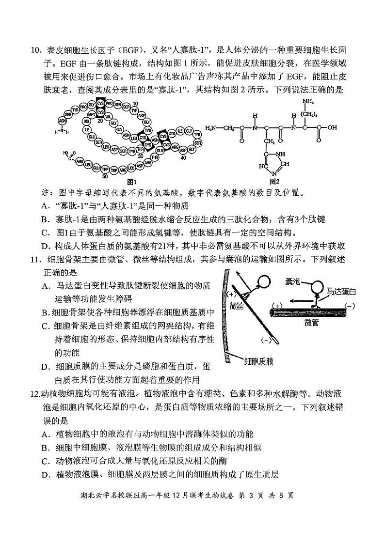 2024年湖北云学联盟高一12月联考生物试卷第3页