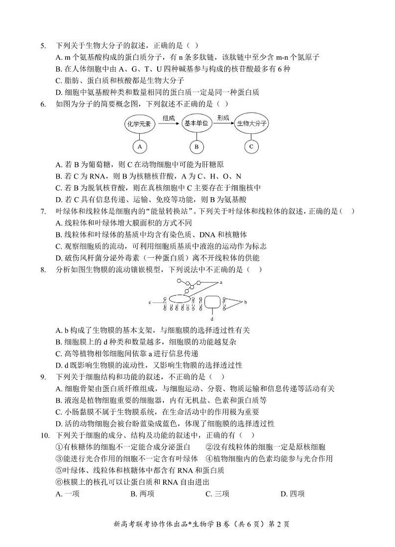 高一联考试卷（B卷）第2页