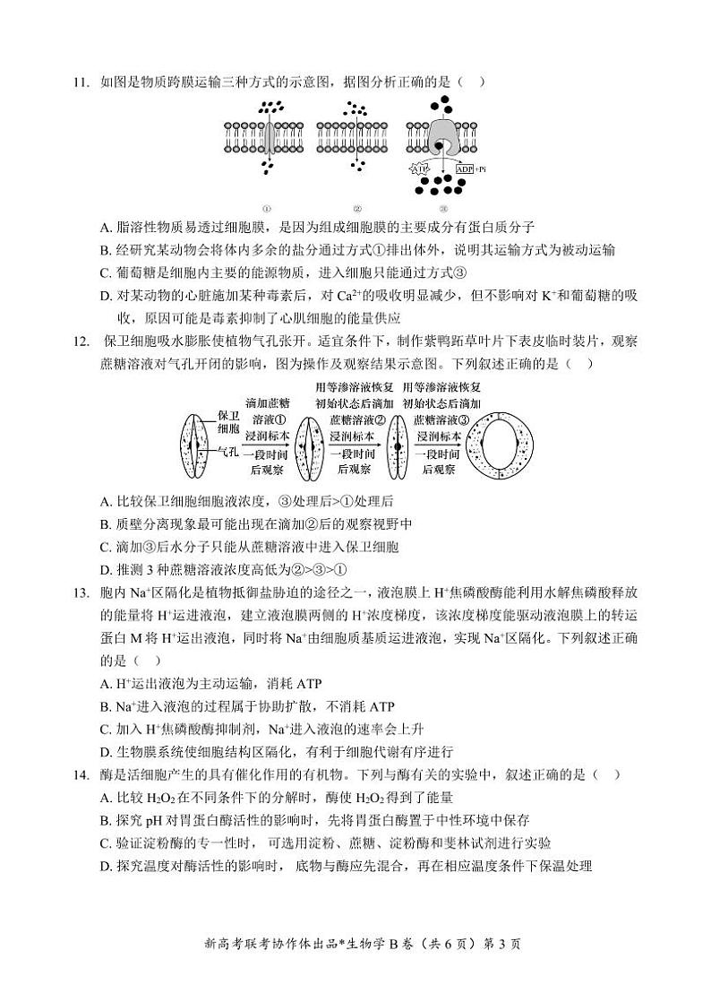 高一联考试卷（B卷）第3页