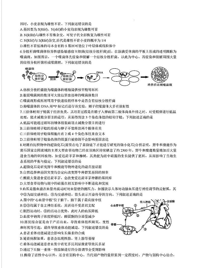 福建省金科大联考2024-2025学年高三上学期12月测评生物试题（PDF版附解析）第2页