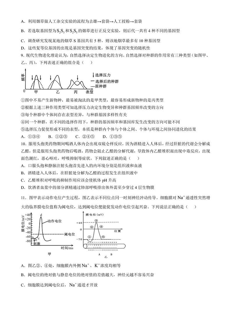 2024年安徽六安一中高三第四次月考 生物试题（含答案）第3页