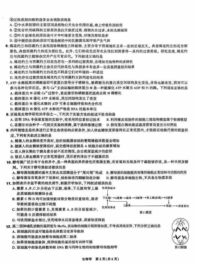 2024年东北三省精准教学高三12月联考 生物试题（含答案）第2页