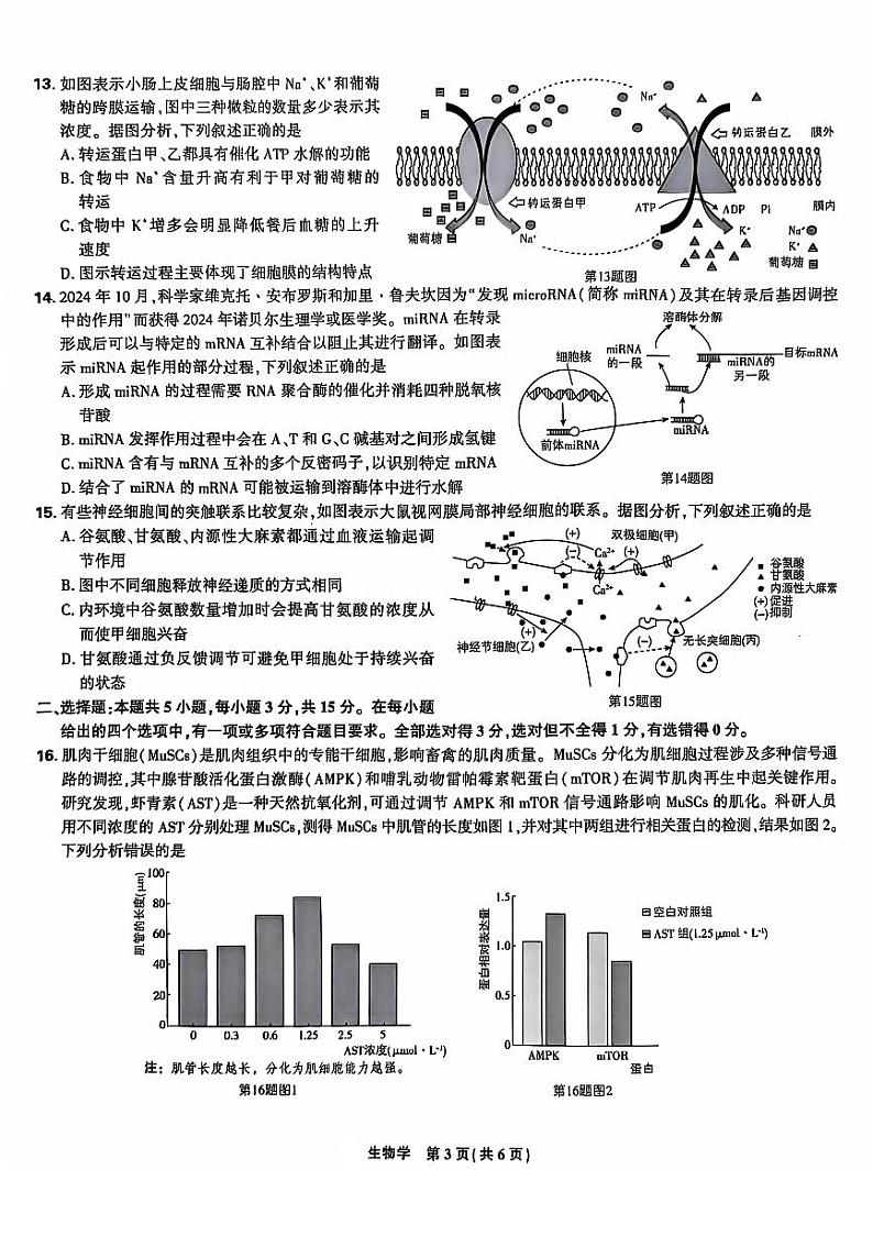 2024年东北三省精准教学高三12月联考 生物试题（含答案）第3页