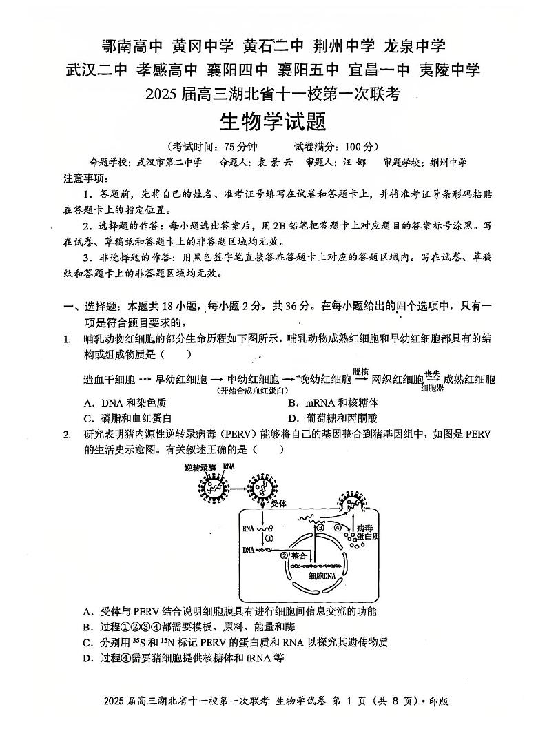 2024年湖北十一校高三12月联考 生物试题（含答案）第1页
