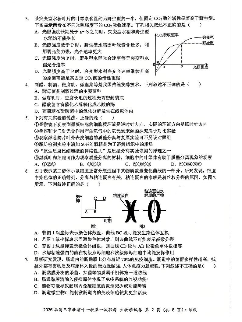 2024年湖北十一校高三12月联考 生物试题（含答案）第2页