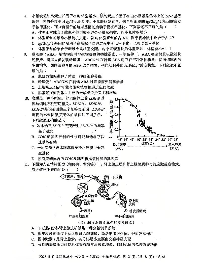 2024年湖北十一校高三12月联考 生物试题（含答案）第3页
