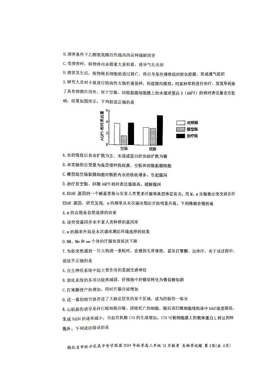 2024年湖北市级示范高中智学联盟高三12月月考 生物试题（含答案）第2页