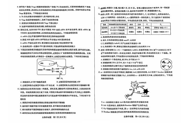 2024年湖南联考（湘一名校）高三11月联考 生物试题（含答案）第2页