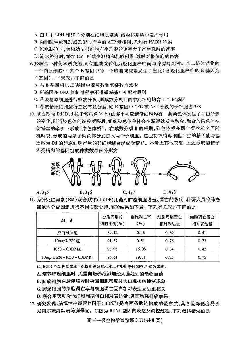 2024年四川内江12月高三一模试卷 生物试题（含答案）第3页