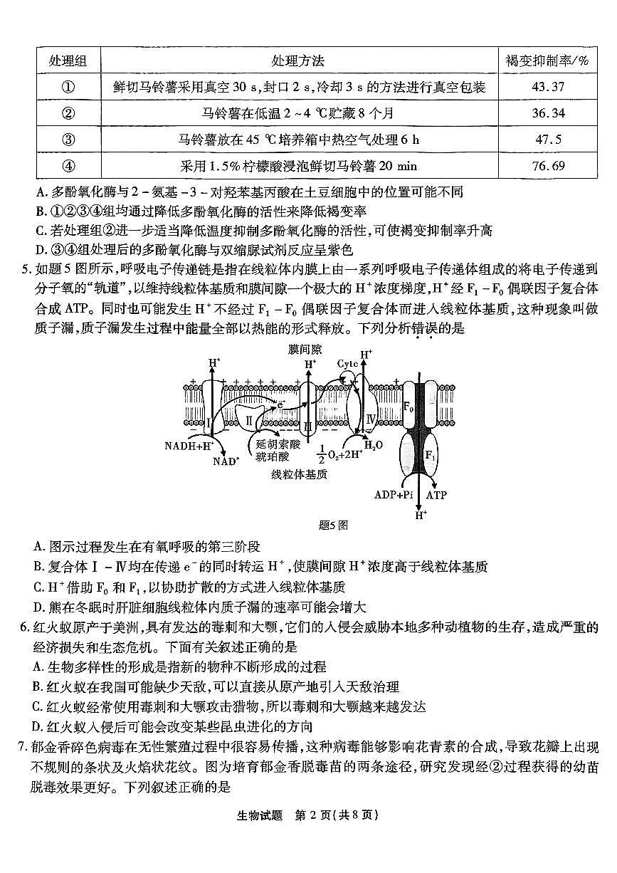 2024年重庆南开中学12月高三第四次质检 生物试题（含答案）第2页