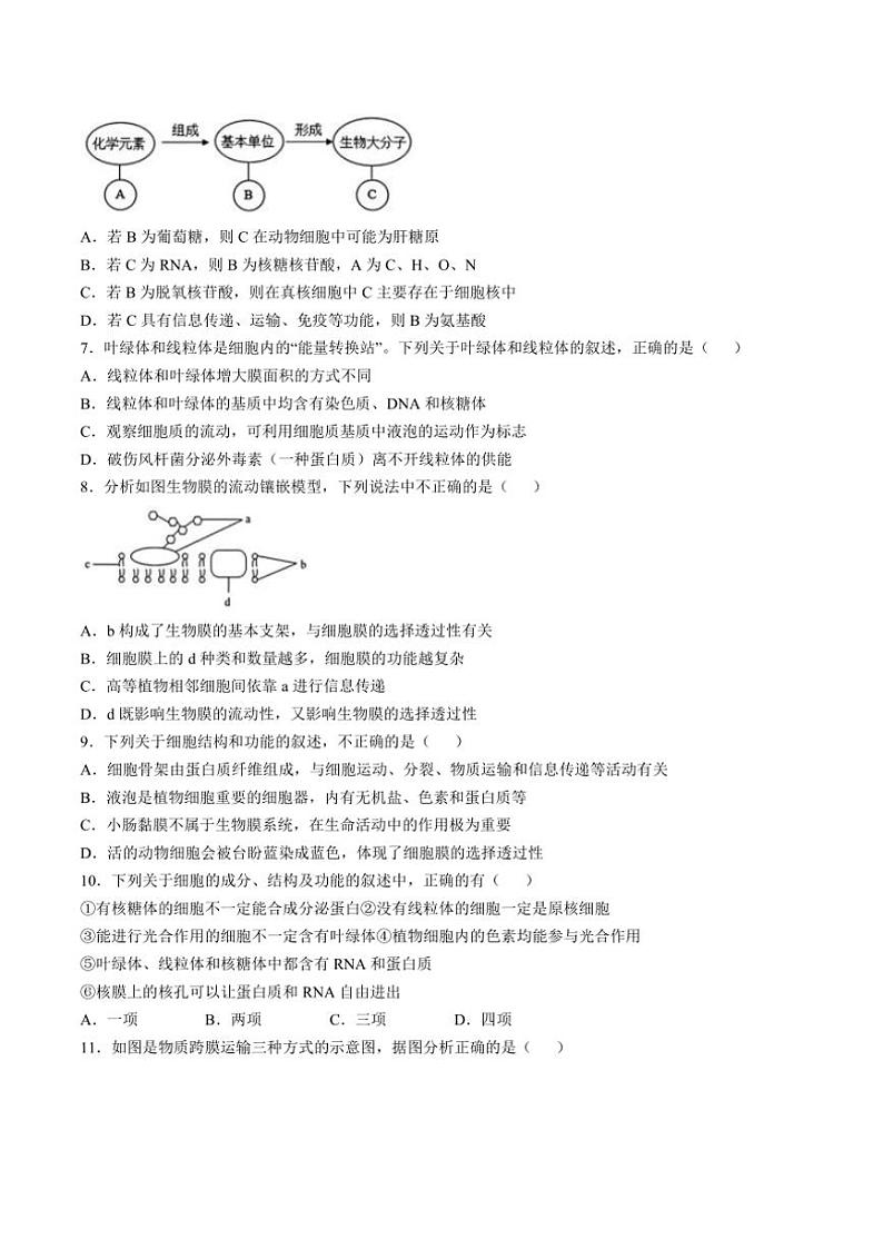 2024～2025学年湖北省新高考联考(月考)协作体高一(上)12月月考生物(B卷)试卷(含答案)第2页