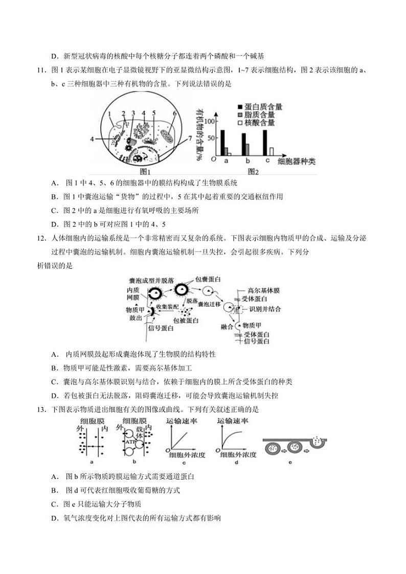 2024～2025学年安徽师范大学附属中学高一(上)12月月考生物试卷(含答案)第3页