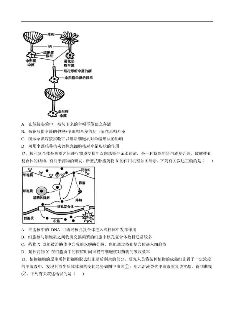 2024～2025学年海南省学校高一(上)阶段教学检测(二)生物试卷(含解析)第3页