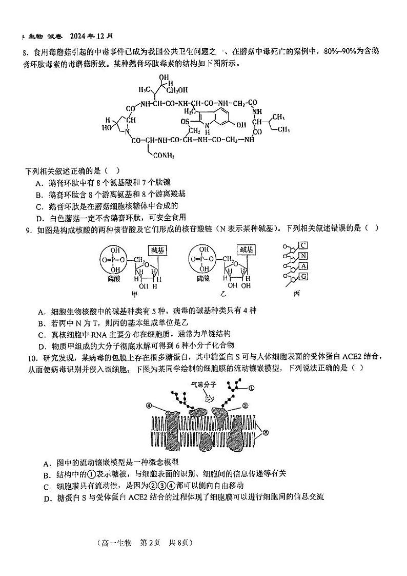 2024北京八十中高一(上)12月月考生物试卷(有答案)第2页