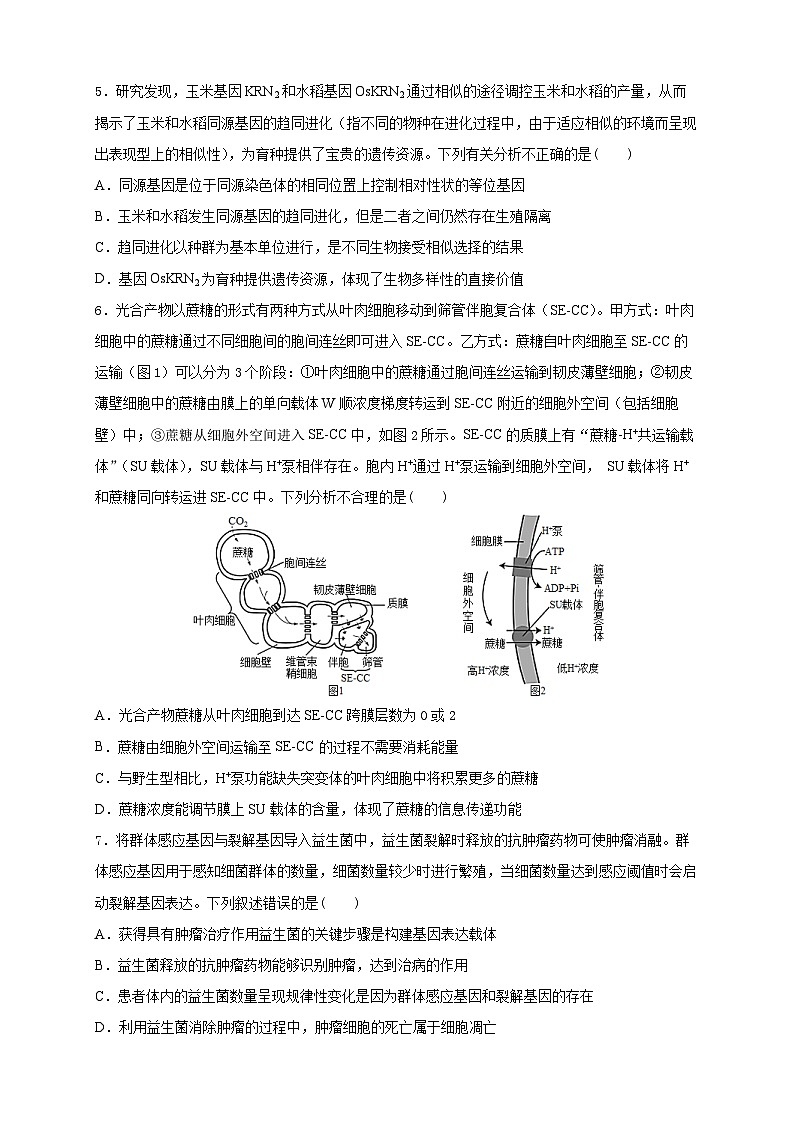 2025成都成实外教育集团高三上学期12月联考试题生物含答案第2页